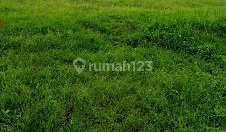 Dijual Pabrik gudang Dan Tanah Di Jl. Tole Iskandar, Cilodong Depok Jual Dibawah Njop