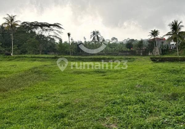 Tanah Luas Pinggir Jalan Raya di Cisarua Bogor