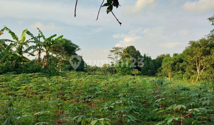 Dijual tanah di ragemanunggal Setu Bekasi
