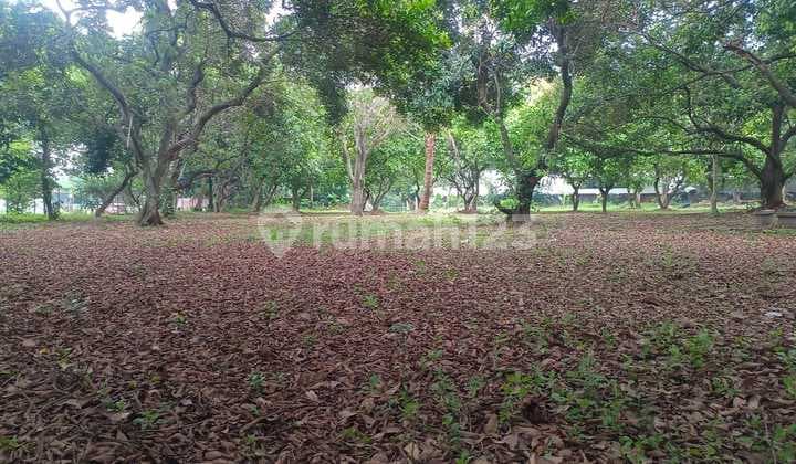 Dijual Tanah Kebun M U R A H Jl. Pondok Ranggon, Jakarta Timur