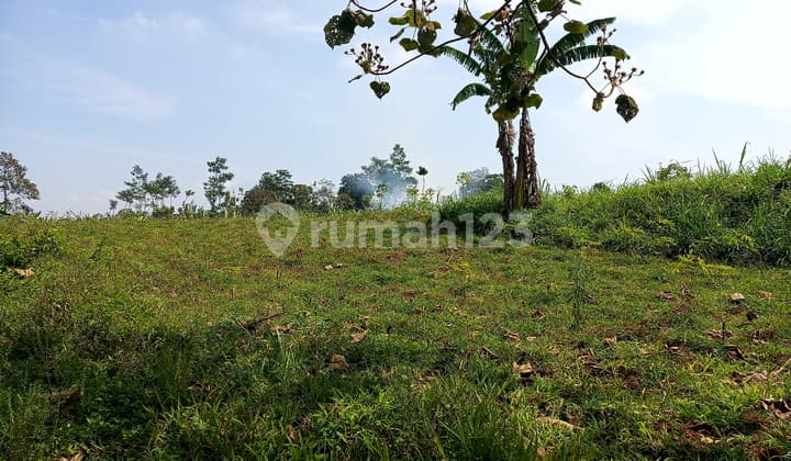 Murah di Asrikaton Pakis bisa jadi 3 rumah