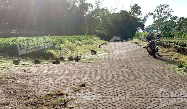 Cocok untuk perumahan atau cafe di Batu