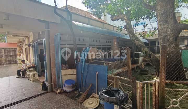 Strategic house in Karang Kidul area. Semarang - 10997