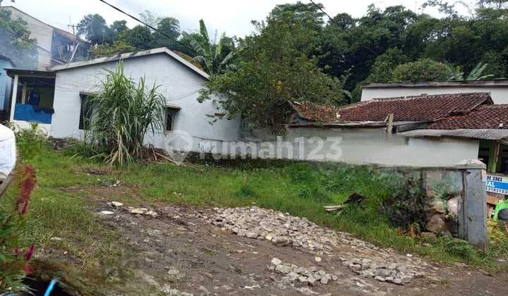 For Sale Kavling di Jl. Dramaga Kampung Cikiruh Bogor