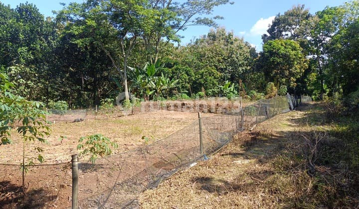 Tanah SHM Ready Cocok untuk Kost-Kostan Dekat Kampus Unnes Gunungpati Semarang