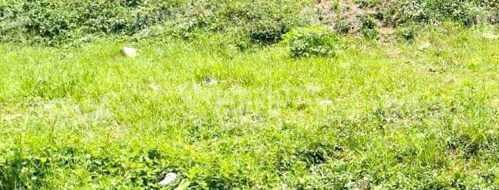 Tanah Luas 8.468m2, Supit Urang,wagir Malang,cocok Untuk Perumahan