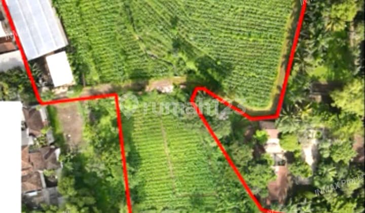 TANAH LUAS RAYA PURWODADI,KAB.PASURUAN, AKSES FUSO