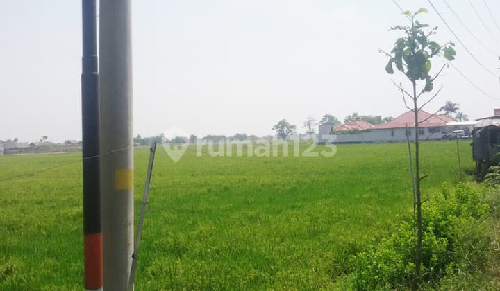 Disewakan Tanah Arteri Kaliwungu Kendal, LT 12.000 M2