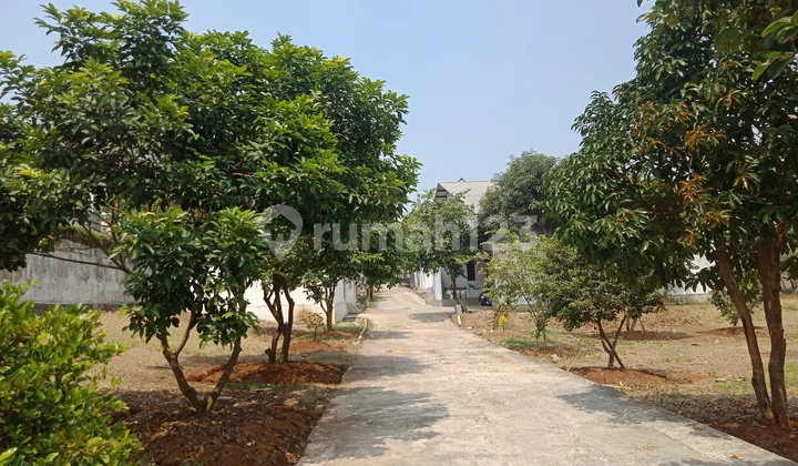 Dijual Tanah Kavling Matang Dekat Bsd Tangerang Selatan
