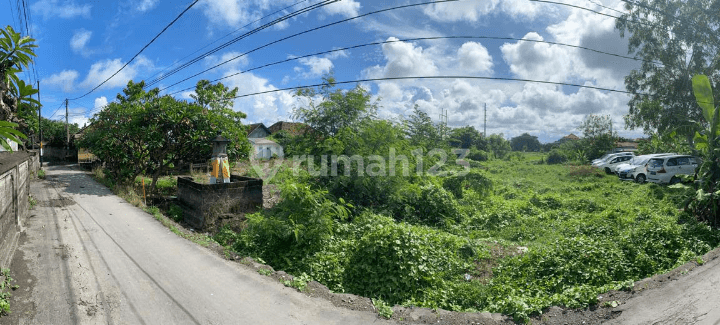 Disewakan Murah Tanah Sanur Denpasar Bali, Siap Pakai