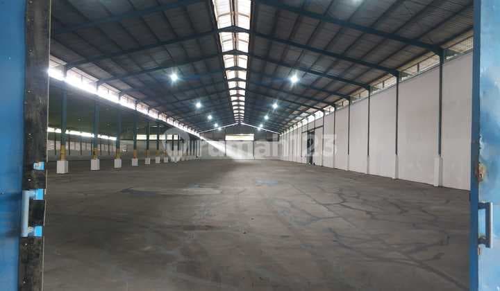 Disewa Cepat Gudang di Cikande Rangkasbitung, Banten