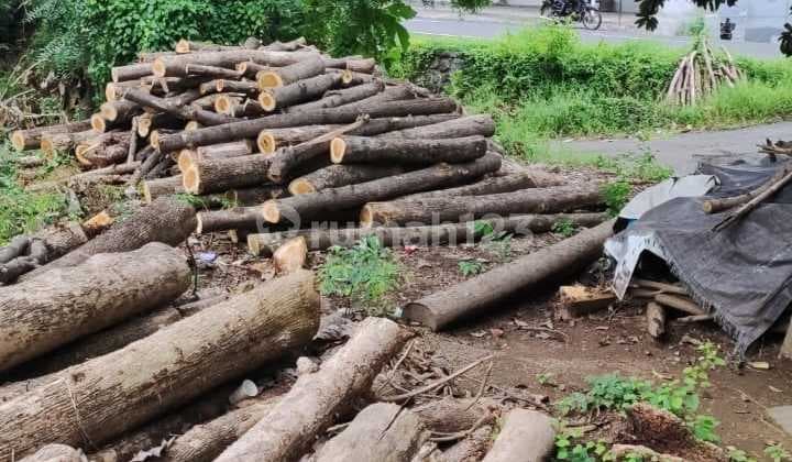 Dijual Tanah Daerah Singaraja Desa Bila