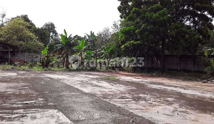Land for Sale in the Border Area of Gn. Sindur, Bogor