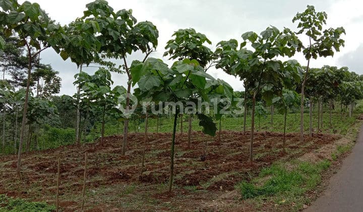 Dijual Tanah Majalengka, Jawa Barat