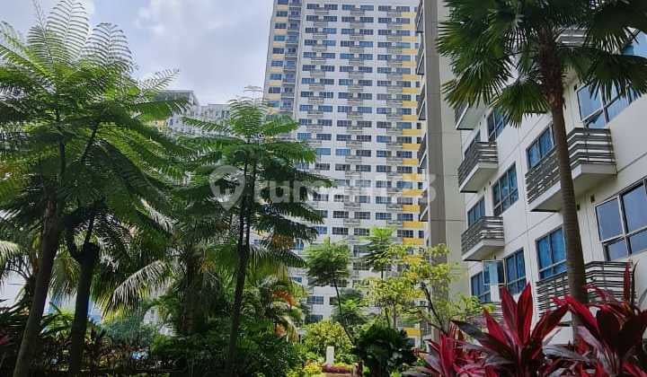 Disewakan Apartemen The Springlake View Freesia Tower Summarecon Bekasi