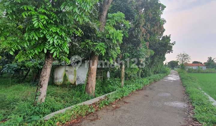 Dijual Cepat Lahan Tanah Siap Pakai Daerah Ciampel Karawang Jawa Barat