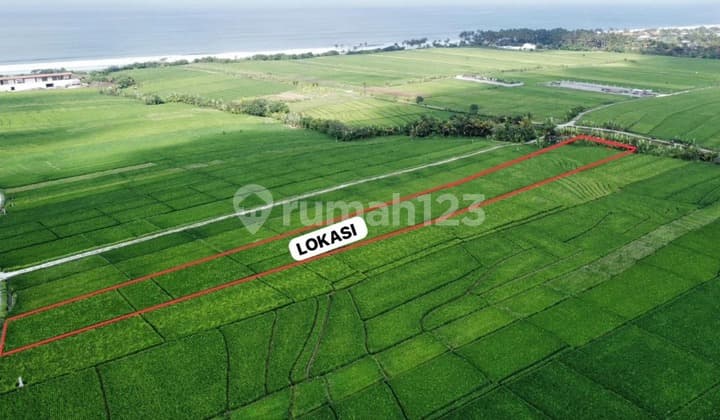 dijual tanah di tabanan pasut cocok untuk komplek villa