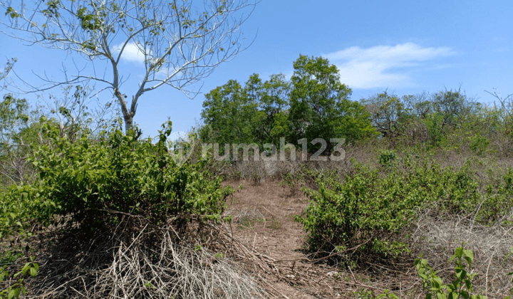LAND FOR LEASEHOLD IN PECATU OCEAN VIEW
