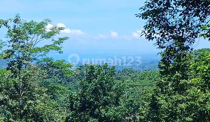 FOR SALE SIDEMEN KARANGASEM LAND 4 ARE SUITABLE FOR BUILDING A VILLA