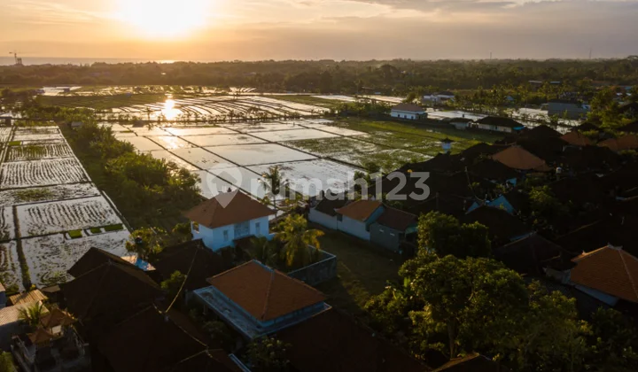 For leasehold Cemagi Land Available Size: 3.6 are or 360m² For leasehold Cemagi Land Available Size: 3.6 are or 360m²