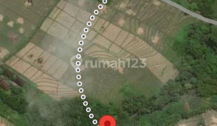 FOR LEASEHOLD LAND TABANAN BUWIT 67.4ARE JUNGLE VIEW