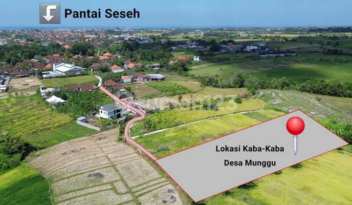 Dijual Tanah Munggu Cocok Untuk Villa