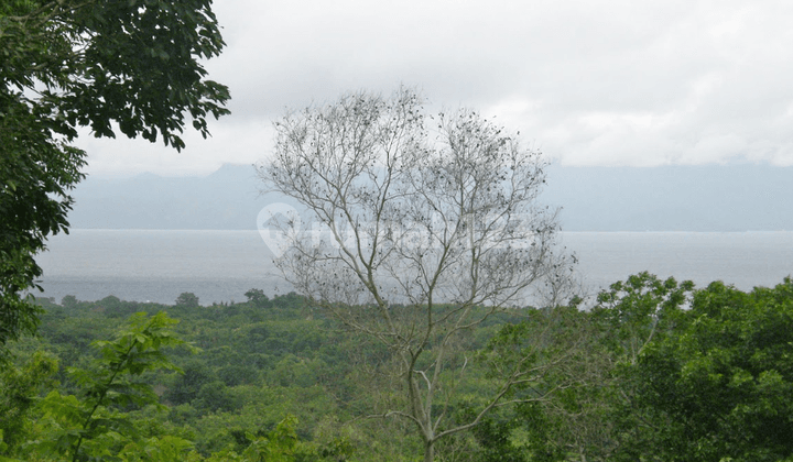 For Sale: Land In Nusa Penida - Perfect Sea View Plot 38.5 Are | Northern Hillside | Freehold