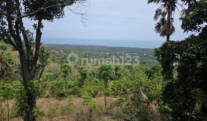 FOR SALE: Ocean View Land in Bondalem, Buleleng