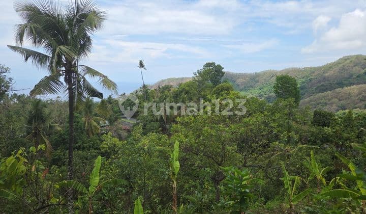 DIJUAL TANAH BULELENG TEJAKULA 85ARE