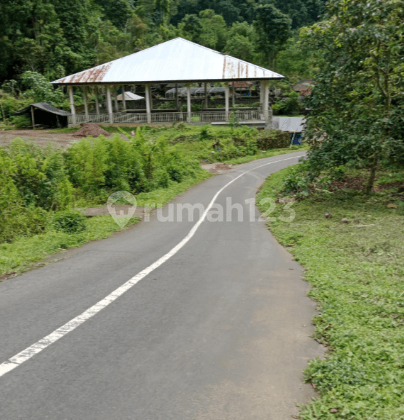 Dijual Tanah Dimunduk Buleleng 29 Are