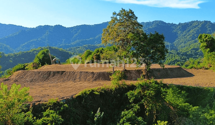 Dijual tanah di sumbawa amazing view