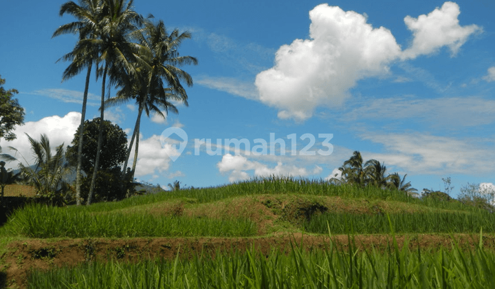 For Sale: Hidden Paradise In Tabanan, Bali 1.92 Hectares | 2 Certificates | Freehold