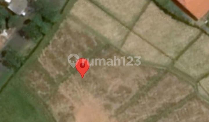 FOR RENT LAND MUNGGU 40 ARE 14MIL PER ARE