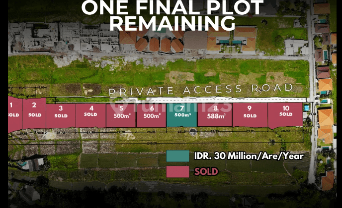 LAND IN SESEH BEACH FOR LEASEHOLD LAST PLOT AMAZING LOCATION