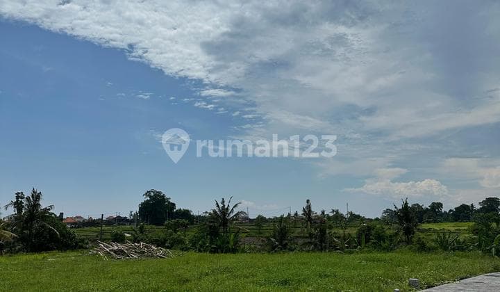 Dijual tanah small plot kedungu cocok untuk villa