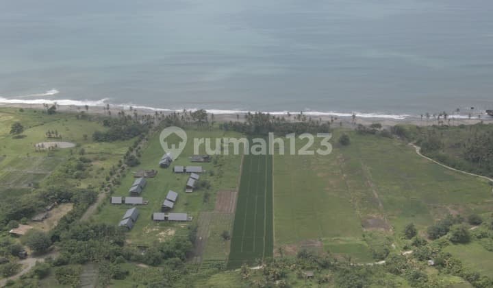 For Leasehold land in kedungu pig stone beachfront