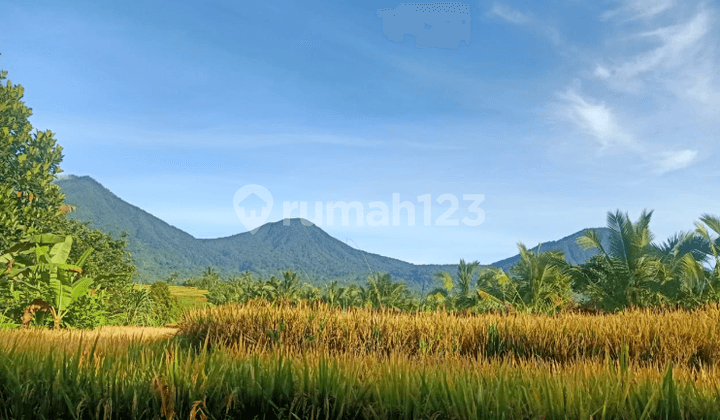 DIJUAL MURAH BUTUH UANG CEPAT TANAH JATILUWIH TABANAN LOKASI SANGAT BAGUS PEMANDANGAN GUNUNG