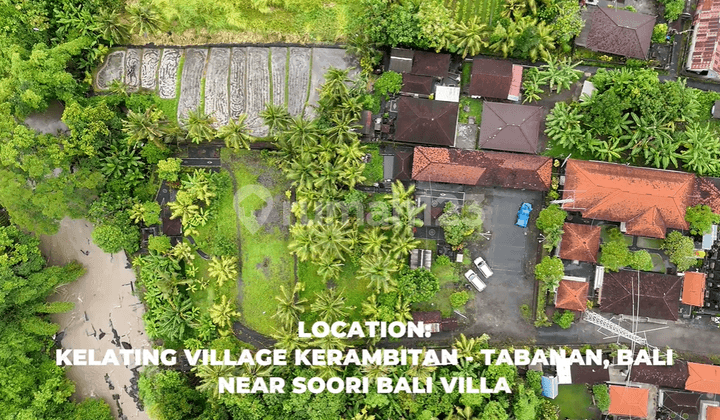 For Rent Land in Tabanan Kelating Yellow Zone
