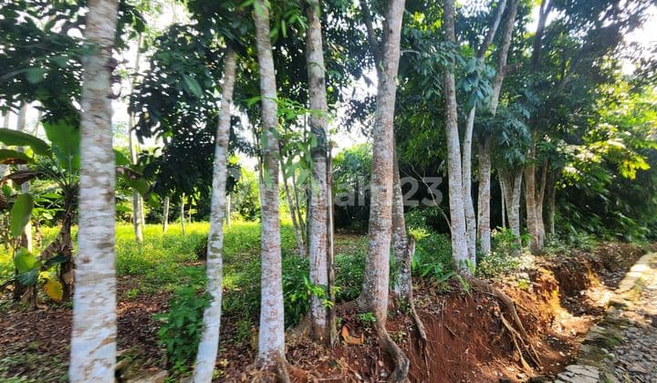 Tanah Murah Di Purwakarta