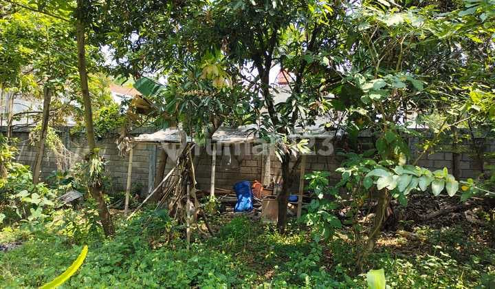 Tanah Matang Murah Di Setra Sari Bandung