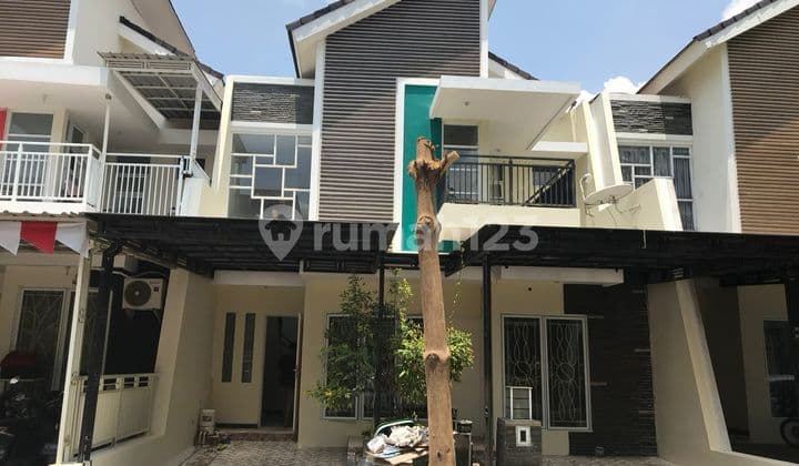 Ladiva Greenhill Menganti