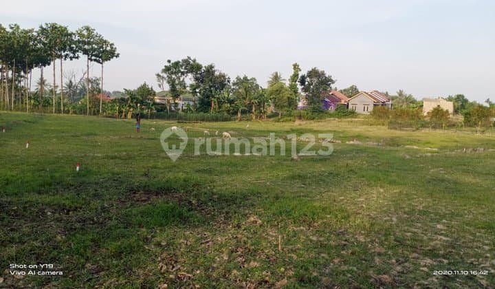 Maspion Industrial Area Land in Manyar, Gresik, Near the Port, Near Freeport