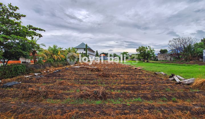 Tanah 20 Are, 2.000M2 Excellent Land In Popular Area In Buleleng, Bali