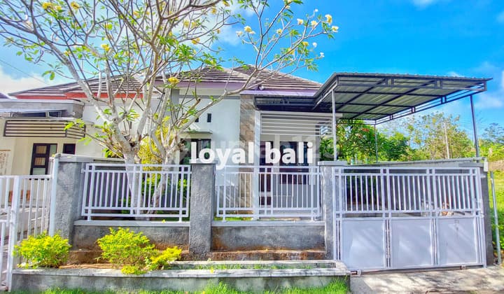 House, Minimalist House With Homey Concept In Ungasan, Bali