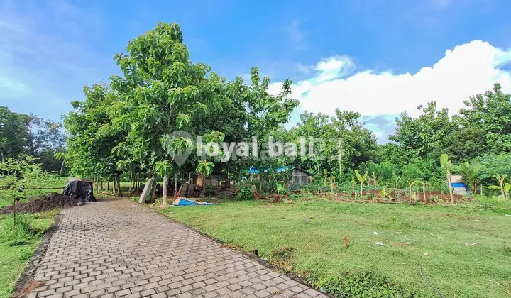 Land, Ready-to-Build Plot in a Beautiful Environment in Kutuh, Bali