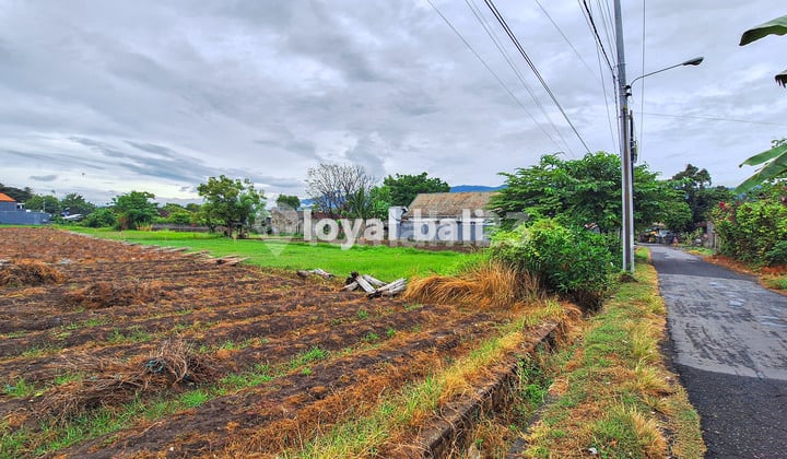 20 Are (2,000 m²) Excellent Land In Popular Area In Buleleng, Bali