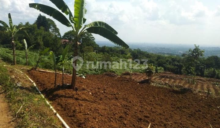 SHM, Taman Rekreasi Cimelati Cicurug. Sukabumi.