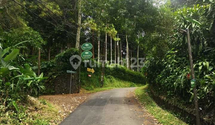Rumah Minimalis di Dago Umaia Nuansa Alam