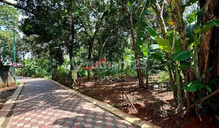 Tanah dijual murah 3,2jt per matar nego