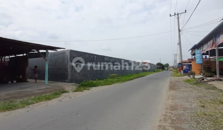Dijual Tanah Luas 1,2 Ha di Jl.medan Binjai Km 12, Shm, Pagar Tembok Keliling, Siap Bangun